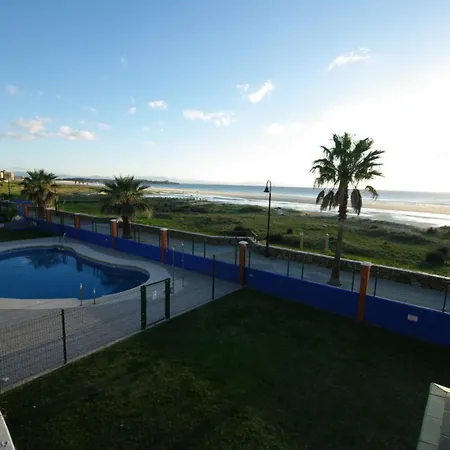 Livingtarifa Agaporni *