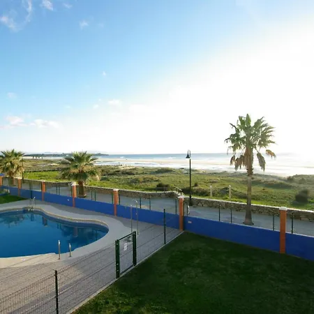 Livingtarifa Agaporni *