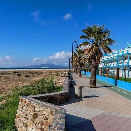 Livingtarifa Agaporni *