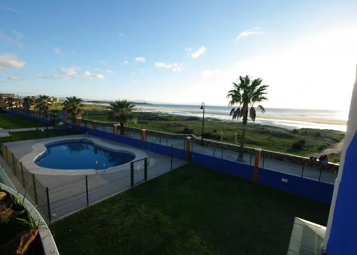 Livingtarifa Agaporni *