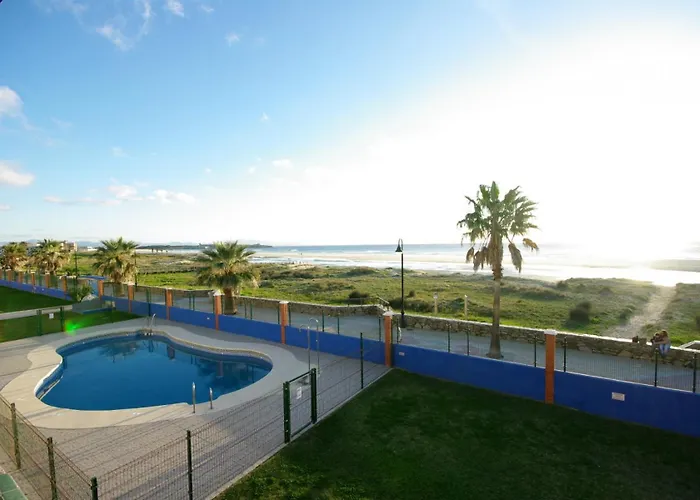 Livingtarifa Agaporni *