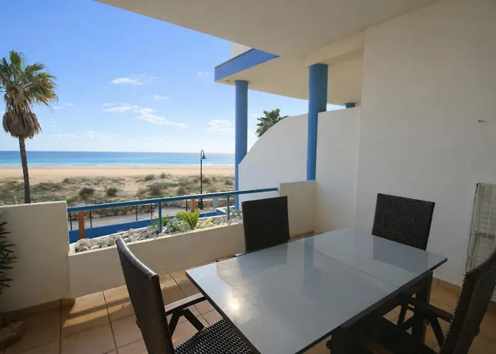 Livingtarifa Agaporni * Tarifa